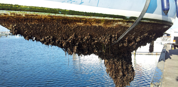 NYTTIG VIDEN OG GODE INFORMATIONER