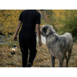 Barebones Railroad Lantern Olive