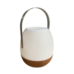 Hyggelig lampe med hjtaler, Pintac Plus, Wood