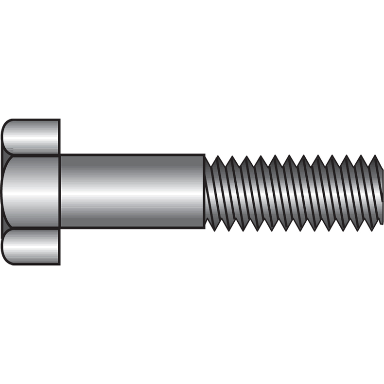 Bolt rustfri M8x60 mm - 2 stk.