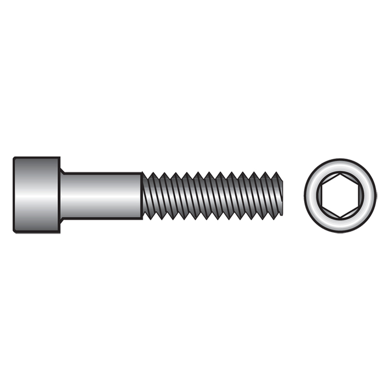 Unbrakoskrue rustfri M10x70 mm - 2 stk.