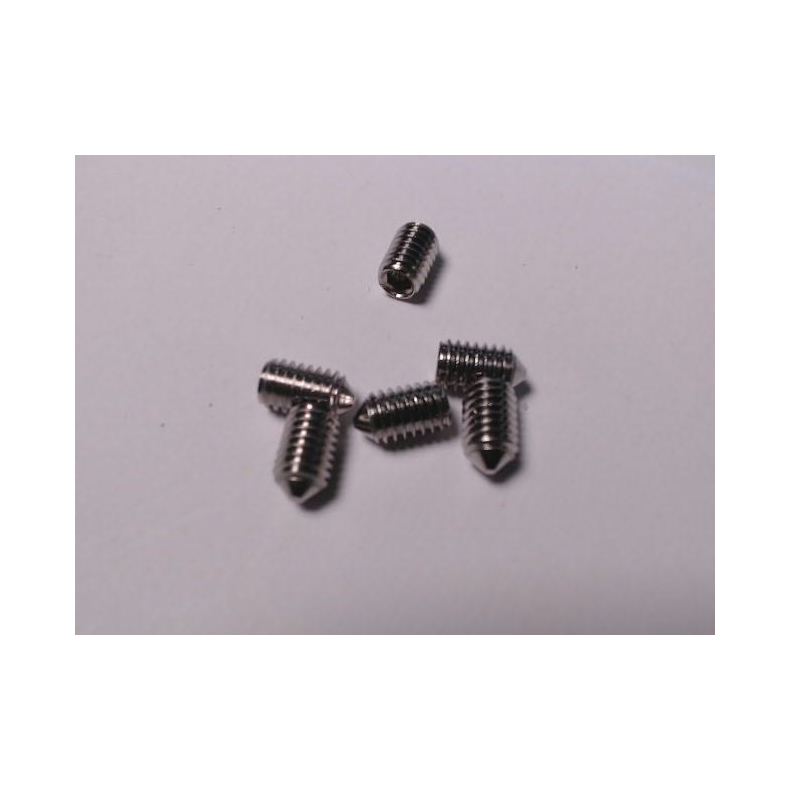 Pinolskrue rustfri m/spids ende M6x10 mm - 6 stk.