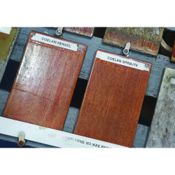 Coelan Coating Klar Blank 