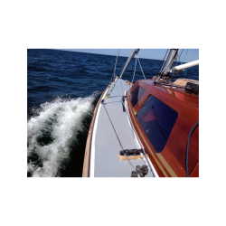 Coelan Coating Klar Blank 