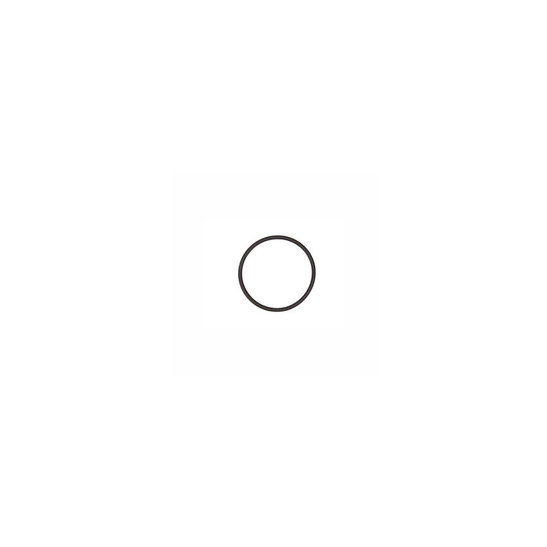 Baystar o-ring