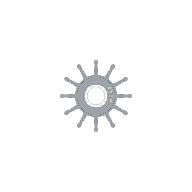 Johnson Impeller 09-704BT-1 Sherwood 17000K