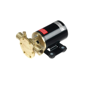 Johnson Impellerpumpe F38B-19 24V