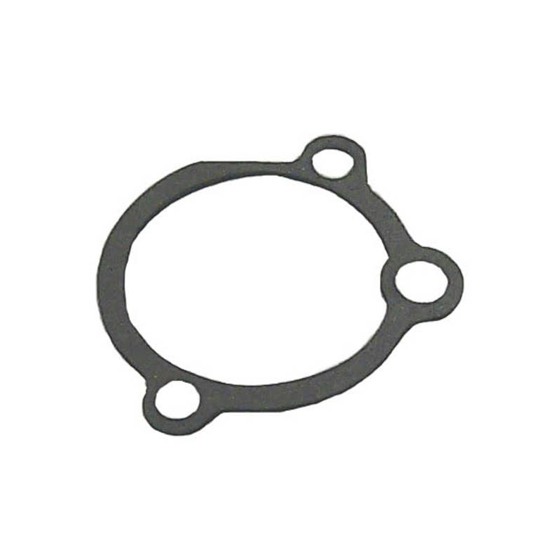 Sierra Intake Gasket