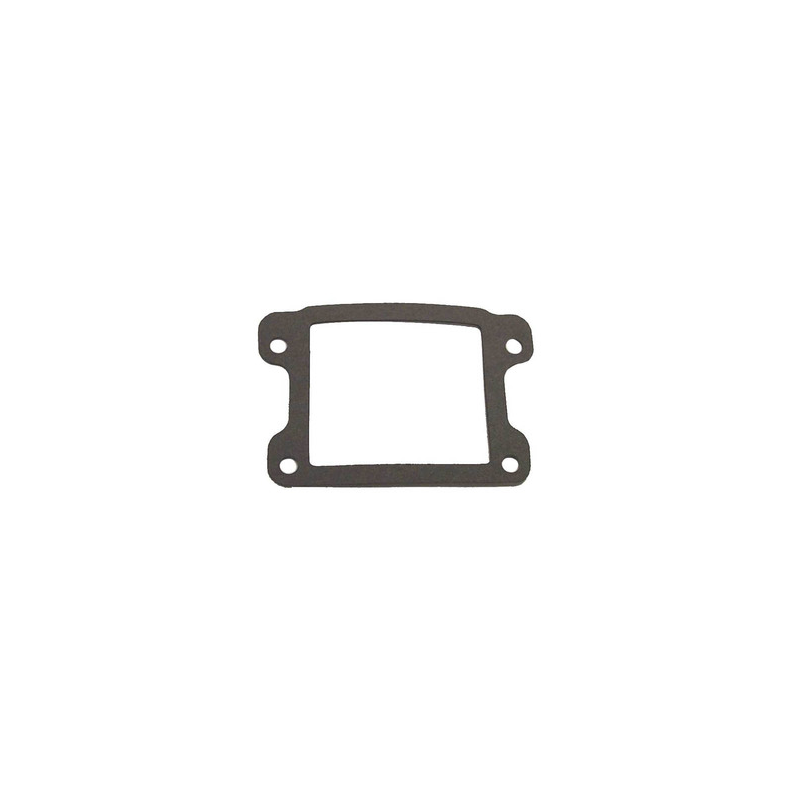 Sierra Valve Seat Gasket