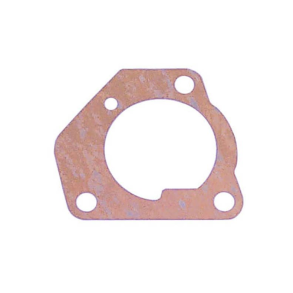 Sierra Water Pump Gasket
