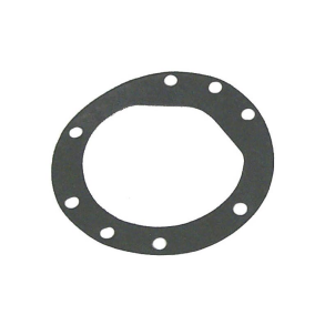 Sierra Water Pump Plate Gasket