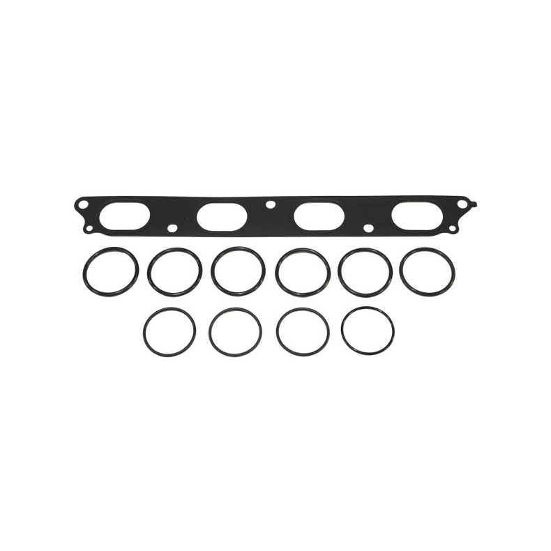 Sierra Indsugnings Paknings Kit. Mercury