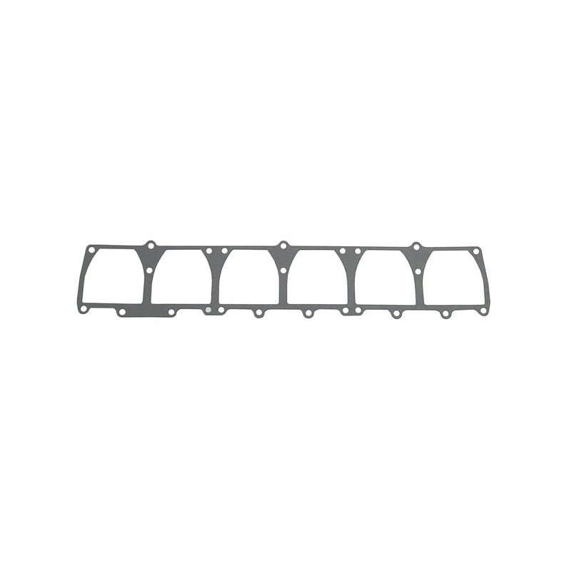 Sierra Transfer Port Gasket