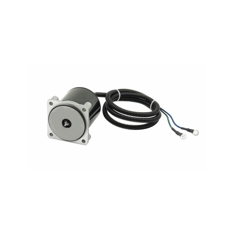 Sierra Tilt/Trim Motor. Suzuki