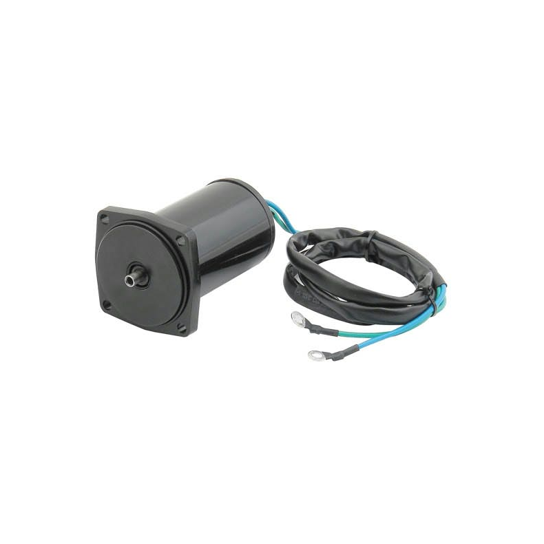 Sierra Tilt/Trim Motor. Suzuki