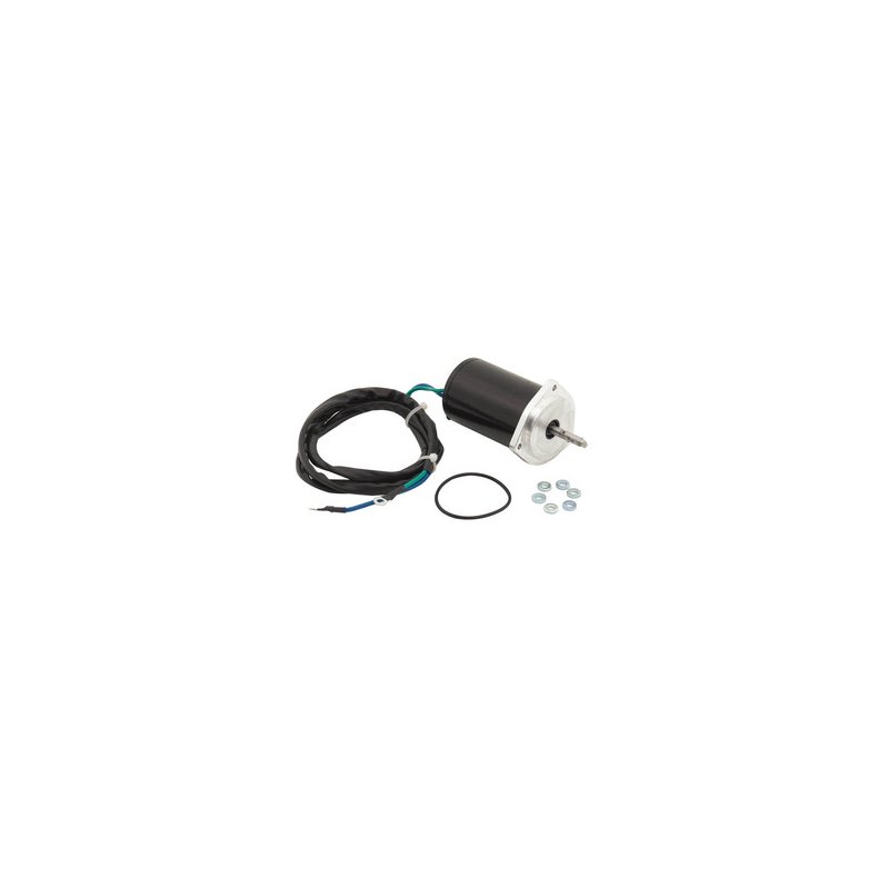 Sierra Tilt/Trim Motor. Yamaha