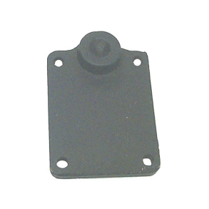 Sierra Manifold End Plate