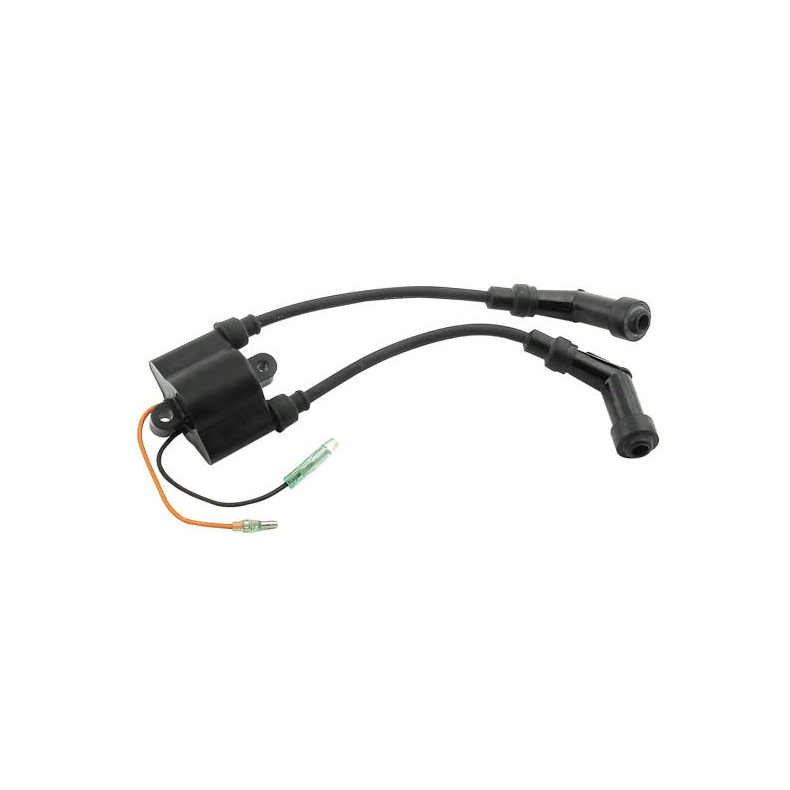 Sierra Ignition Coil