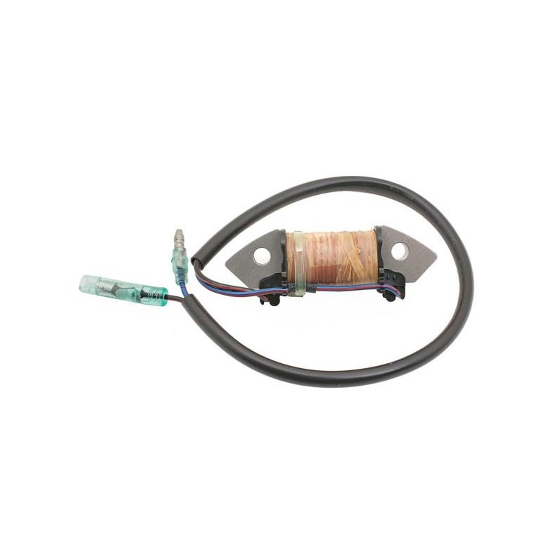 Sierra Coil, Charge