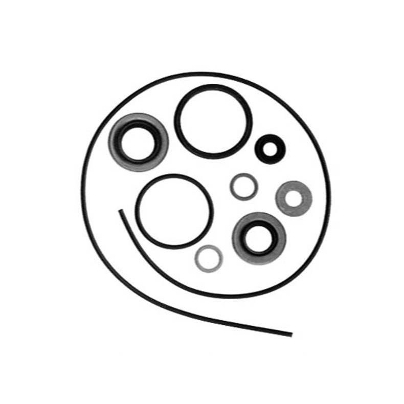Sierra Paknings Kit.Gearhus. Evinrude UDG�ET