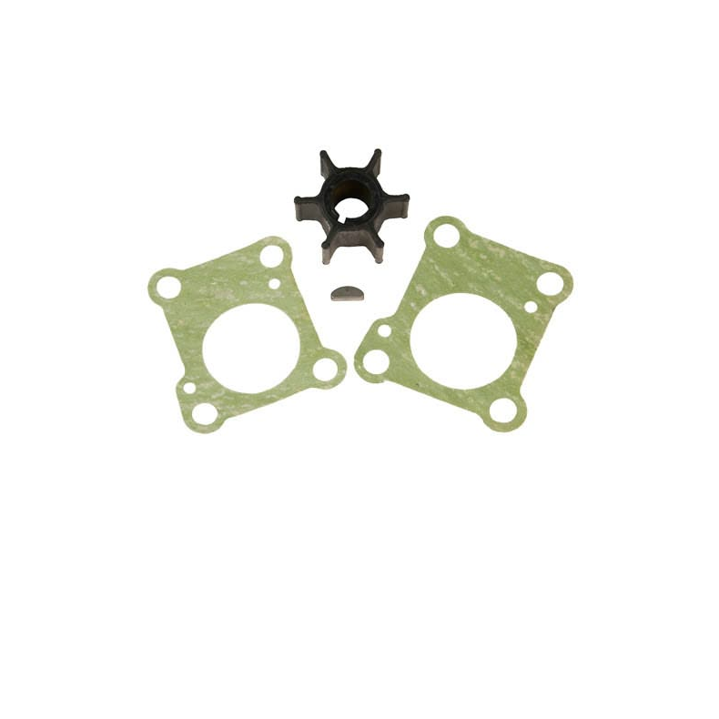 Sierra Impeller Kit.Honda