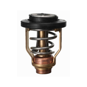 Sierra Termostat 50gr. Yamaha