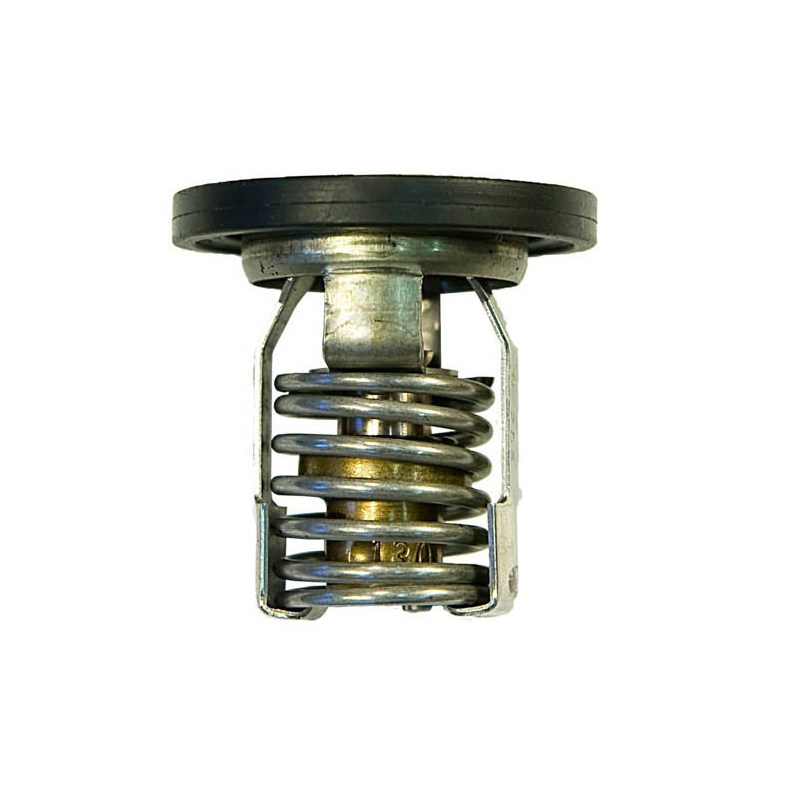 Sierra Thermostat Mercury