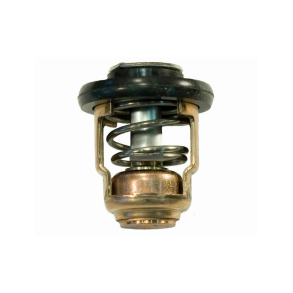 Sierra Termostat 60gr. Yamaha