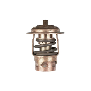 Sierra Termostat 49gr. Mercury