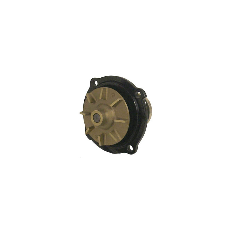 Sierra Circulating Water Pump