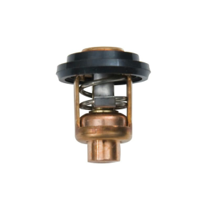 Sierra Termostat Kit.60gr.Yamaha