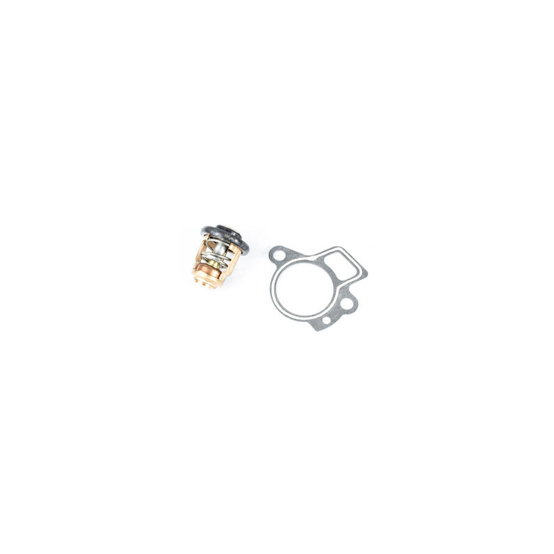 Sierra Termostat Kit. Mercury