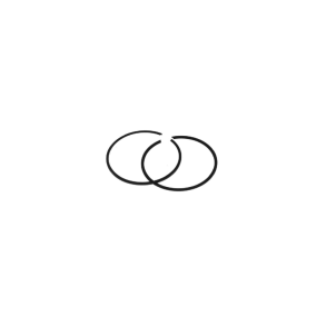 Sierra Stempelringe. Evinrude/Johnson