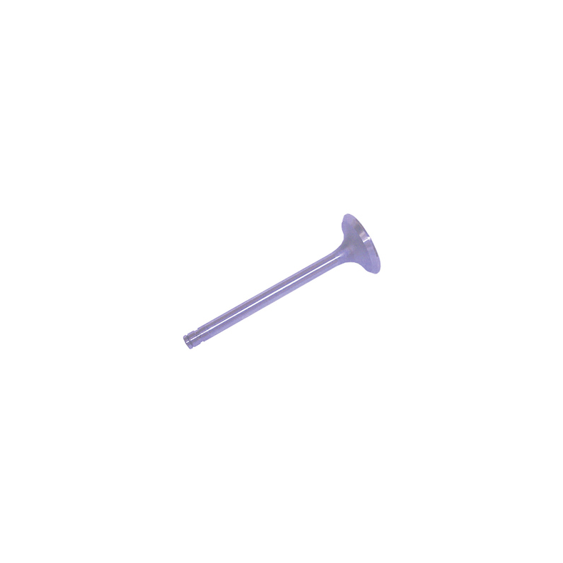Sierra Intake Valve