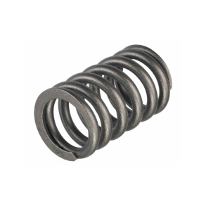 Sierra Valve Spring