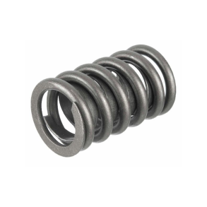 Sierra Valve Spring