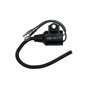 Sierra Ignition Coil