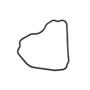 Sierra Gasket, Breather