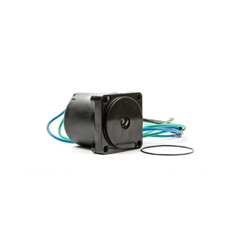 Sierra Tilt/Trim Motor. Evinrude/Johnson