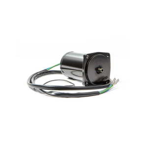 Sierra Tilt/Trim Motor. Evinrude/Johnson