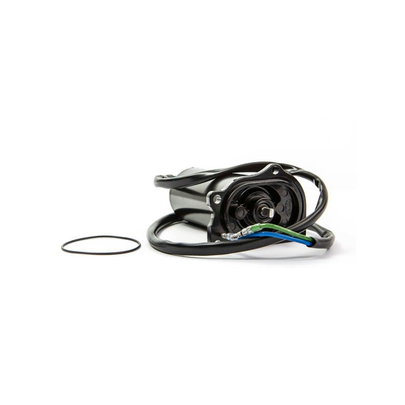 Sierra Tilt/Trim Motor. Mercury/Force