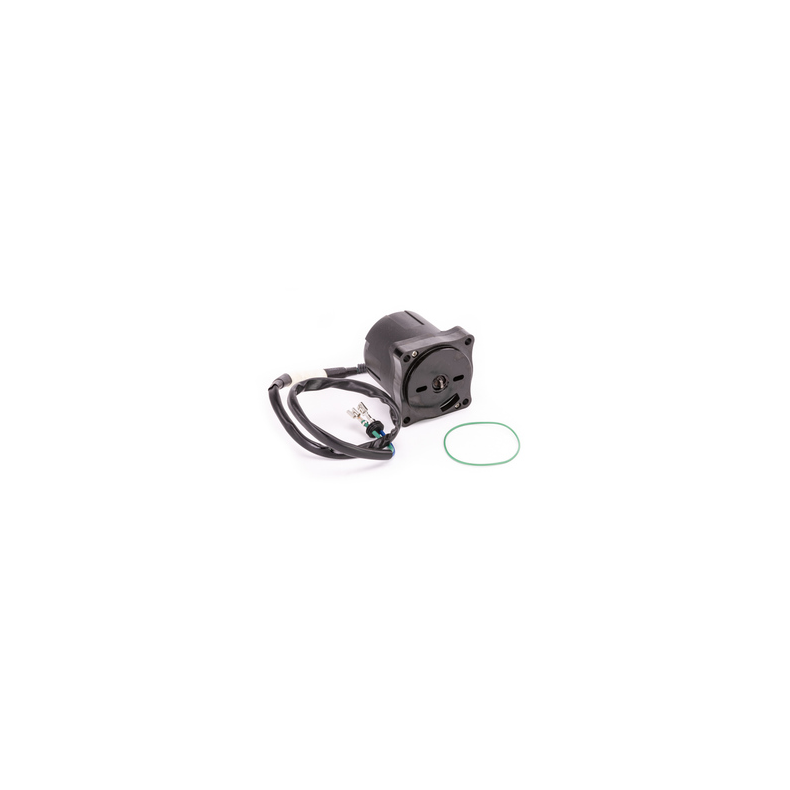 Sierra Tilt/Trim Motor. Honda