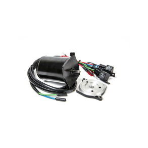 Sierra Tilt/Trim Motor. Mercury