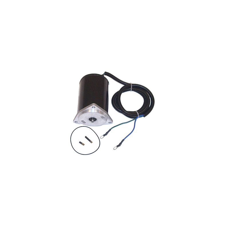 Sierra Tilt/Trim Motor. Suzuki