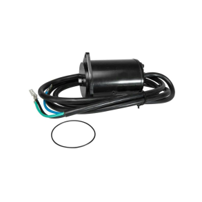 SierraTilt/Trim Motor. OMC
