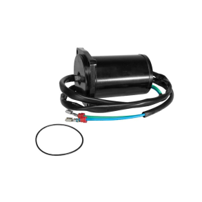 SierraTilt/Trim Motor. Evinrude/Johnson