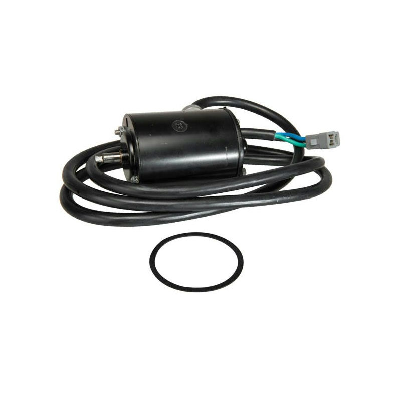 SierraTilt/Trim Motor. Evinrude/Johnson