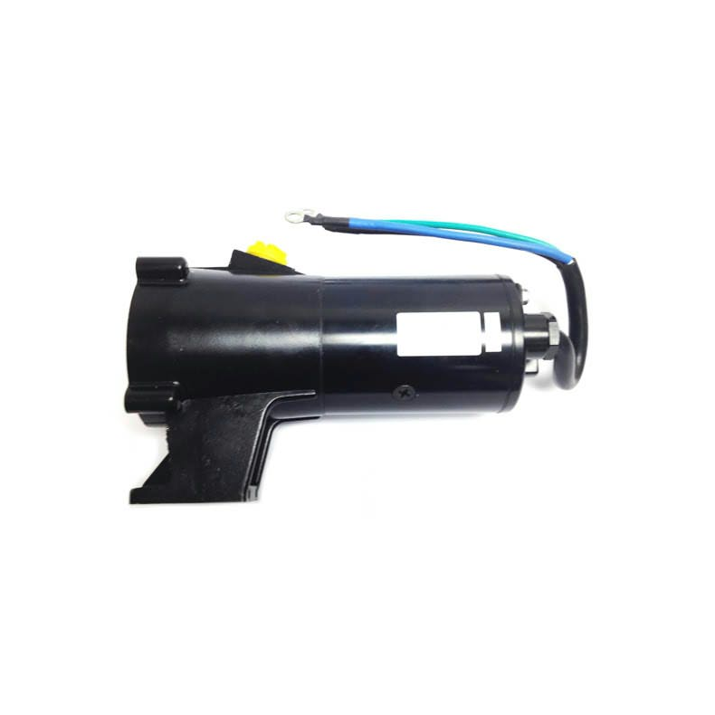 Sierra Tilt/Trim Motor. Volvo