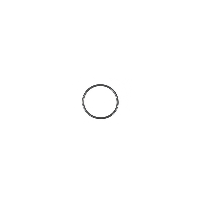 Sierra O-Ring (55X)