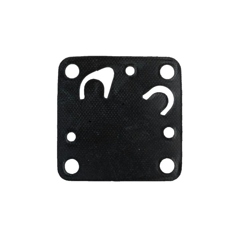 Sierra Diaphram